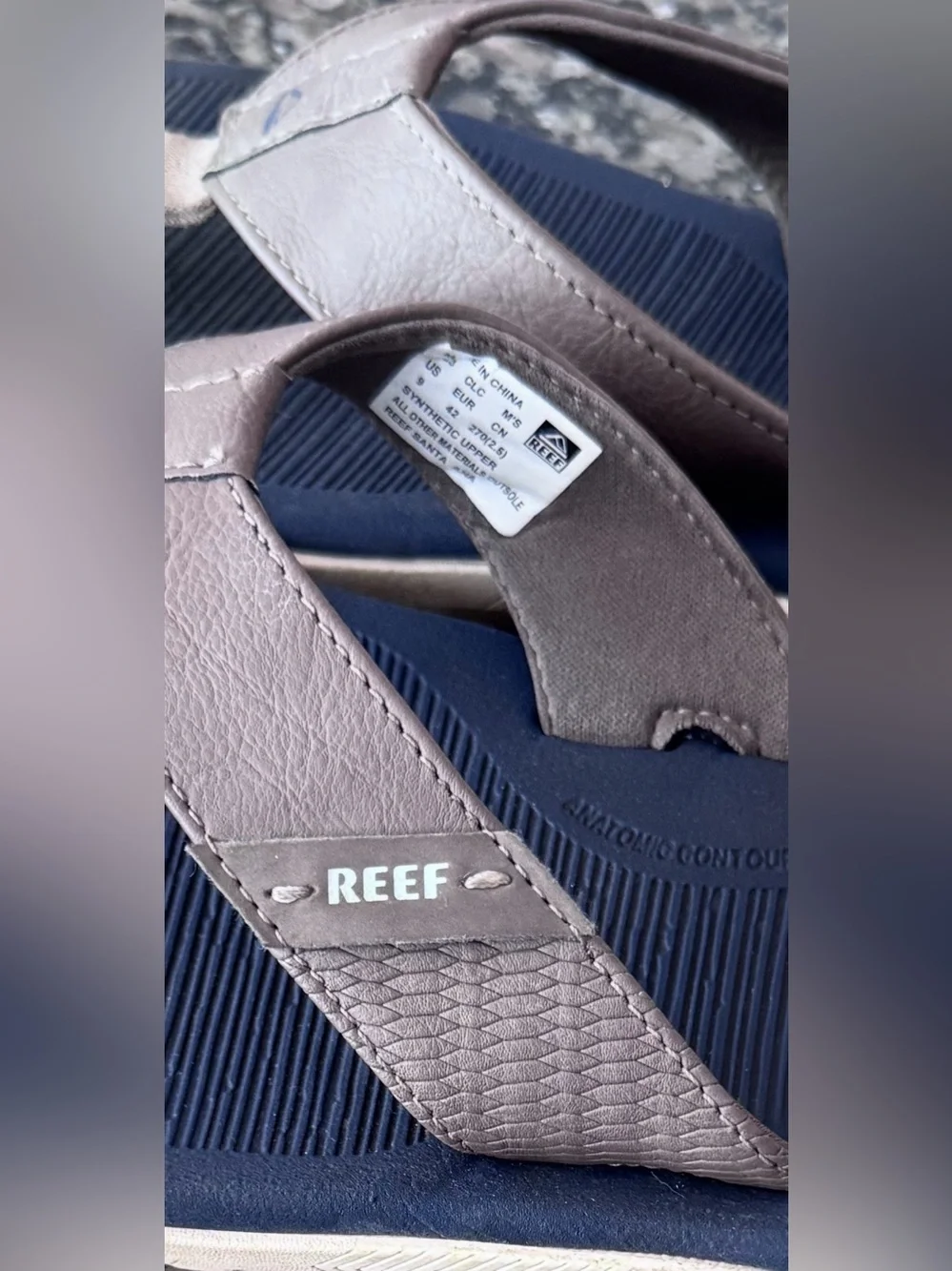 Reef santa ana